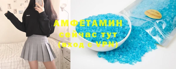 мдпв Гусев