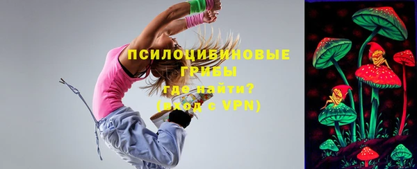мдпв Гусев