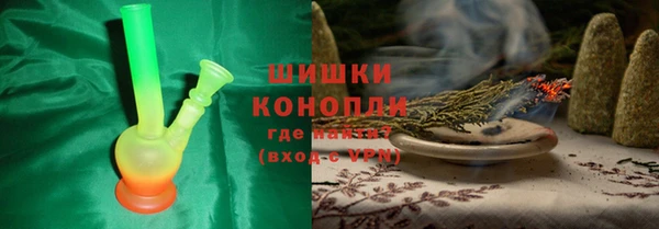 мдпв Гусев