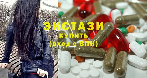 мдпв Гусев