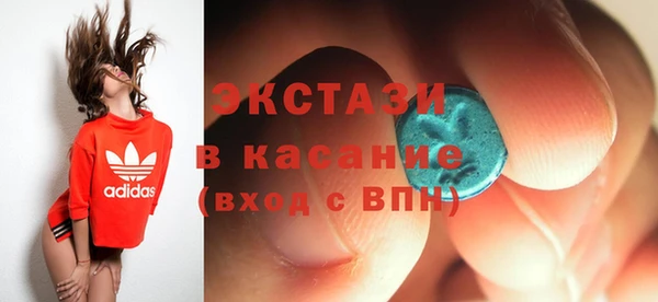 мдпв Гусев
