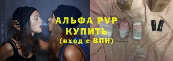 мдпв Гусев