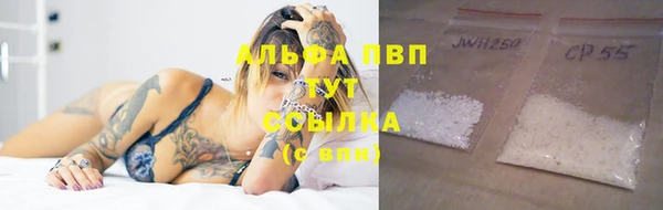 мдпв Гусев