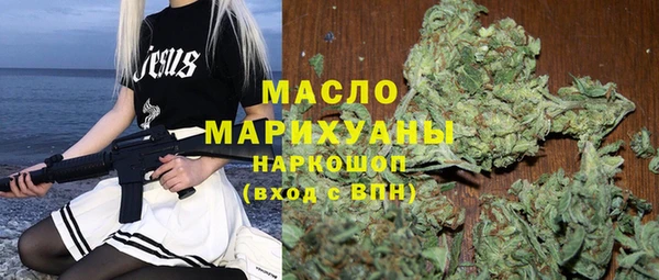 мдпв Гусев