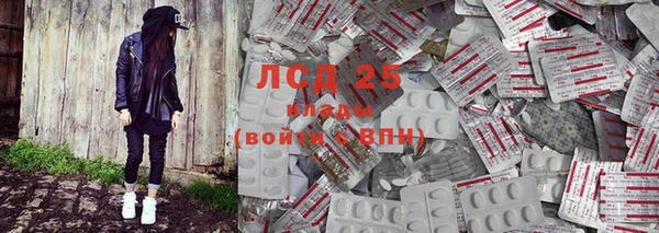 мдпв Гусев