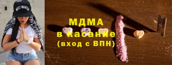 мдпв Гусев