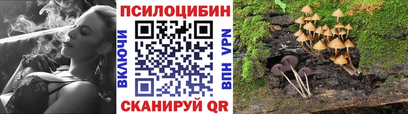 Купить где  Углегорск  Галлюциногенные грибы Psilocybine cubensis 